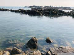 -海合安青岛极地海洋公园