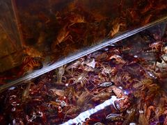 -虾铺子龙虾·私房菜(金源花苑店)