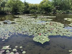 -白马涧龙池景区