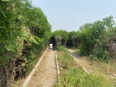 -亲兄弟真人CS团建拓展基地