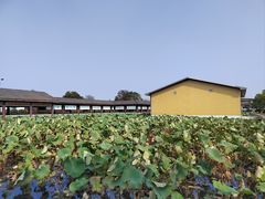 -千龙湖生态旅游度假区