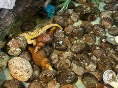 -宜兴隆家宴·私房菜(泰安华庭店)