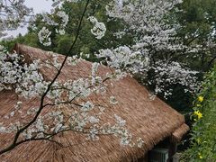 -中国茶叶博物馆(双峰馆区)