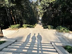 -青龙山国家森林公园