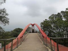 -金鸡山公园