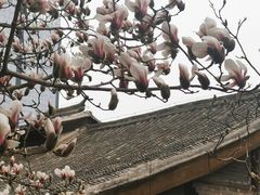 -南新仓文化休闲街