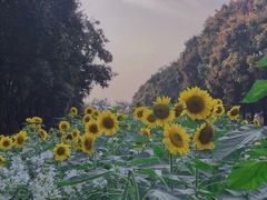-玄武湖景区-情侣园游乐场
