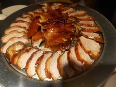 -守柴炉烤鸭(科华中路王府井店)