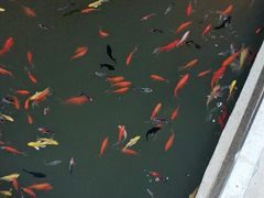 -党河风情线国家水利风景区