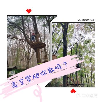 之前有听别的宝妈提起过这家紫荆山探险乐园,今天为了锻