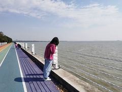 -贡湖湾湿地公园