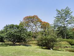 -中国科学院西双版纳热带植物园