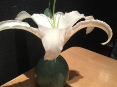 -泉寿司(万科公园店)