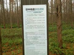 -黄海国家森林公园