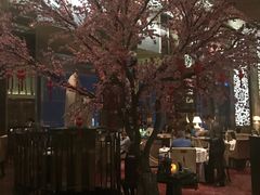 -金轩中餐厅 Jin Xuan(浦东丽思卡尔顿酒店)