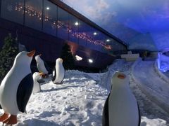 -世界之窗阿尔卑斯冰雪世界