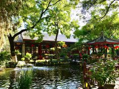 -白家大院·王府宫廷菜(苏州街店)