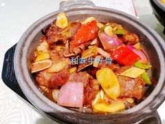 和味牛仔骨-新兴·金羊座·粤菜点心(乐峰店)