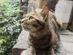 -山城巷传统风貌区