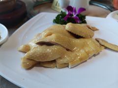 手机先吃白切鸡-观山美厨·精致粤菜(西樵店)