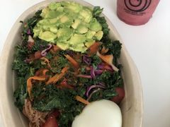 -油梨树AVOCADO TREE(顺义新国展店)