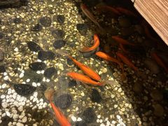 -邈墨茶馆(凤起路店)