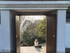 -上海佘山国家森林公园天马山园