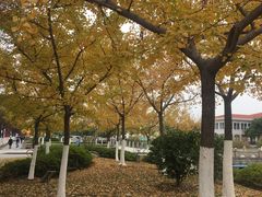 -江南大学(蠡湖校区)