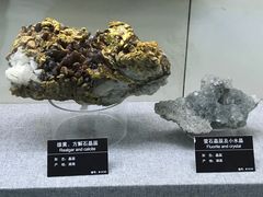 景点-甘肃地质博物馆