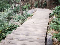 -大岭沟猕猴桃谷风景区