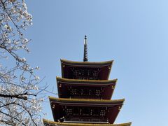 -东湖磨山景区