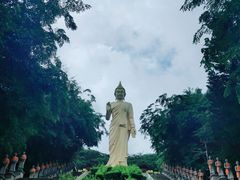 -西双版纳勐泐文化旅游区