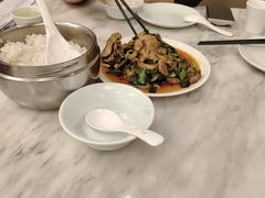 -陈麻婆豆腐总店