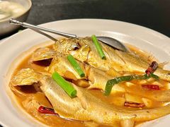 -苏帮袁Sue Cuisine(将台店)