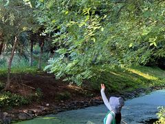 -长白岛森林公园