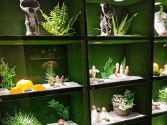 -慢丽江·云南野生菌土鸡锅(西山店)