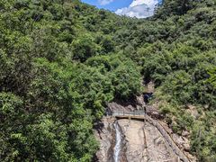 -广州白江湖森林公园