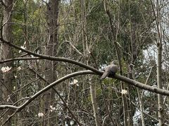 -徐家汇源景区-衡山公园