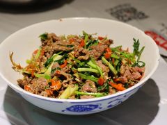 香菜炒牛肉-壹盏灯(蚂蚁工房店)