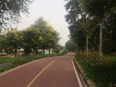 -石榴庄公园