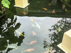 -醉香隆.山水庭院.湖北菜(东湖店)