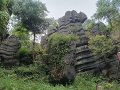 -梭布垭石林景区