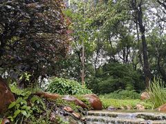 -东莞植物园