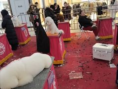 -天津梅江印象城
