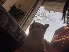 -平行世界·猫咖(首经贸店)