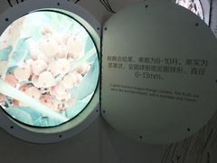 -金沙遗址博物馆