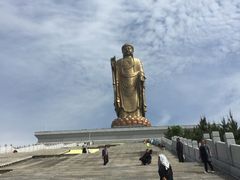 -中原大佛景区