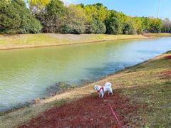 -上海海湾国家森林公园