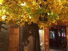 -北平楼·烤鸭·北京菜(牡丹园店)