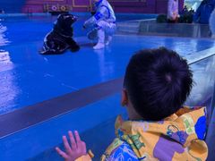 -横店影视城梦幻谷园区
